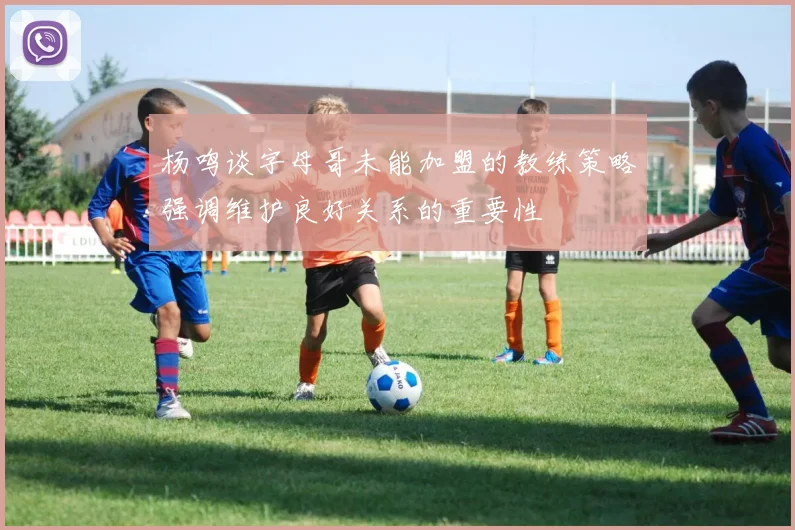 杨鸣谈字母哥未能加盟的教练策略强调维护良好关系的重要性