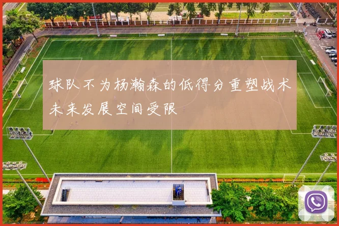 球队不为杨瀚森的低得分重塑战术未来发展空间受限