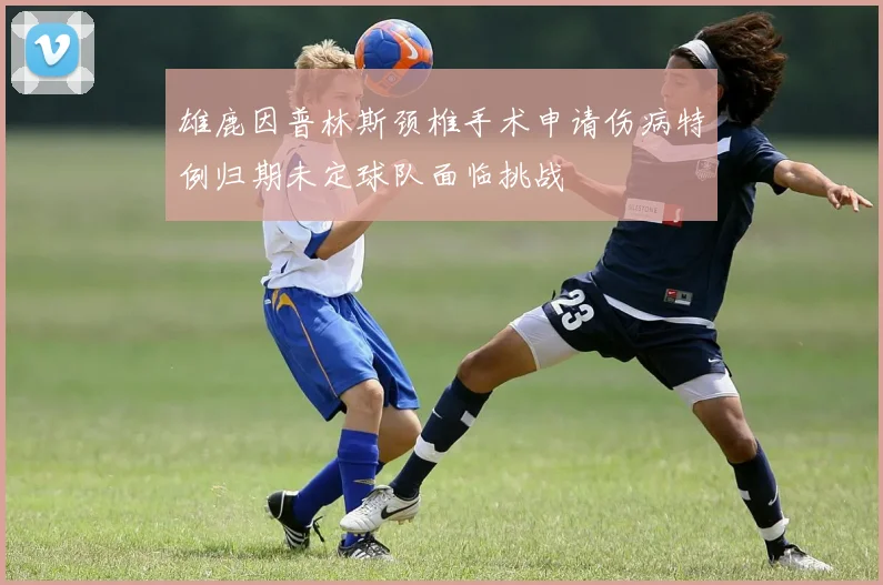 雄鹿因普林斯颈椎手术申请伤病特例归期未定球队面临挑战