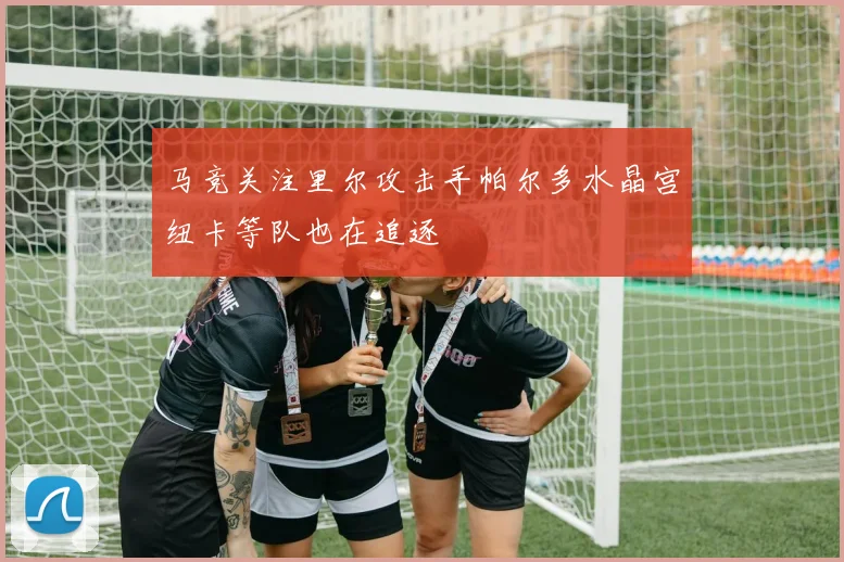 马竞关注里尔攻击手帕尔多水晶宫纽卡等队也在追逐