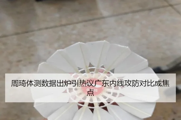 周琦体测数据出炉引热议广东内线攻防对比成焦点（1xbet）
